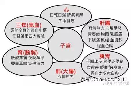 殷浩然：女人為什麼胖在腰部？