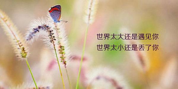 適合起床後發的早安心語優美的句子