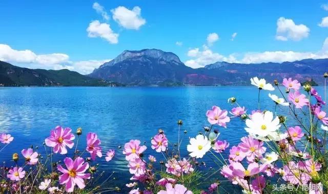 這才是雲南最妖豔的10個地方，你去過幾個？