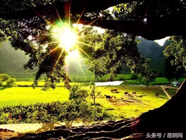 這才是雲南最妖豔的10個地方，你去過幾個？