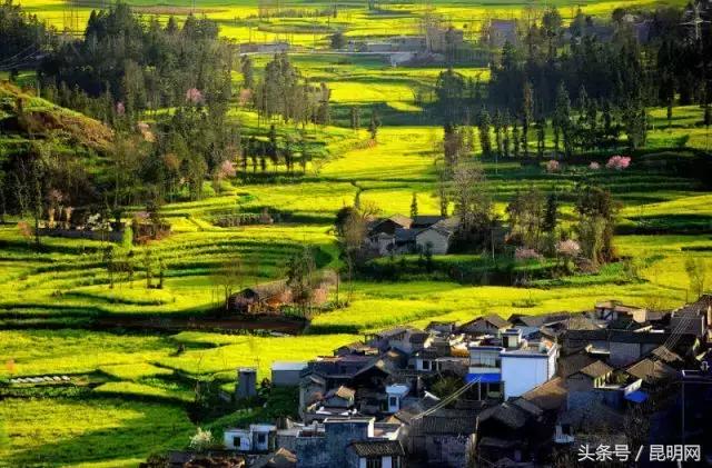 這才是雲南最妖豔的10個地方，你去過幾個？