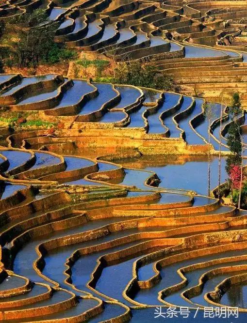 這才是雲南最妖豔的10個地方，你去過幾個？