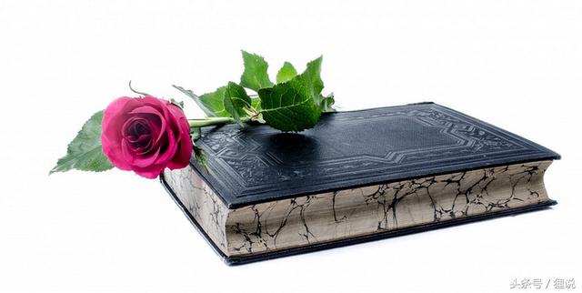 這些話太狠，直指人心，精闢