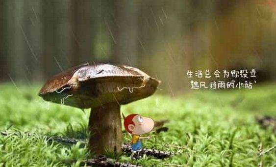 精闢的早安正能量圖片短句
