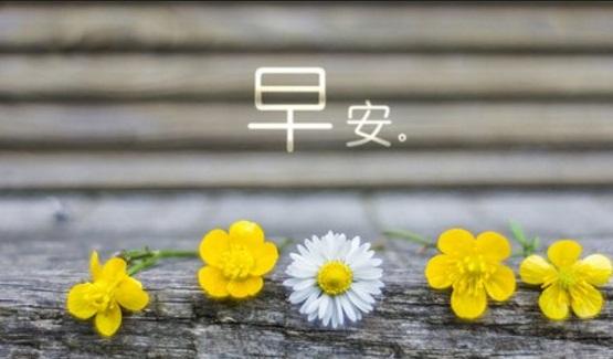 精闢的早安正能量圖片短句