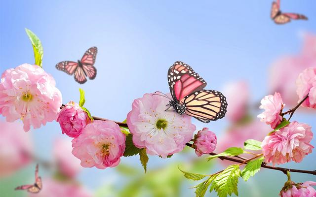 春天當生髮，千萬莫傷肝
