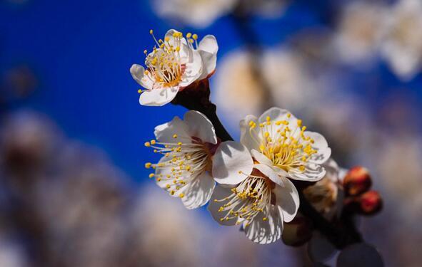 做人,要懂得這四項硬道理