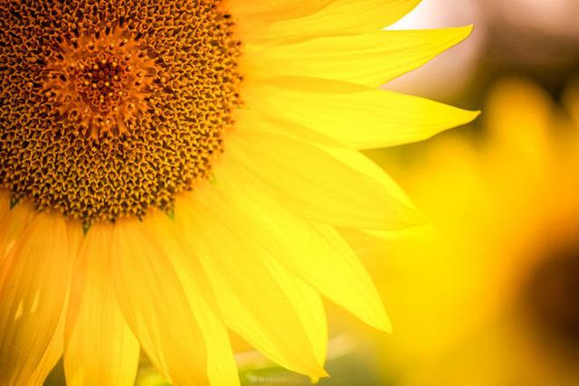 做人,要懂得這四項硬道理