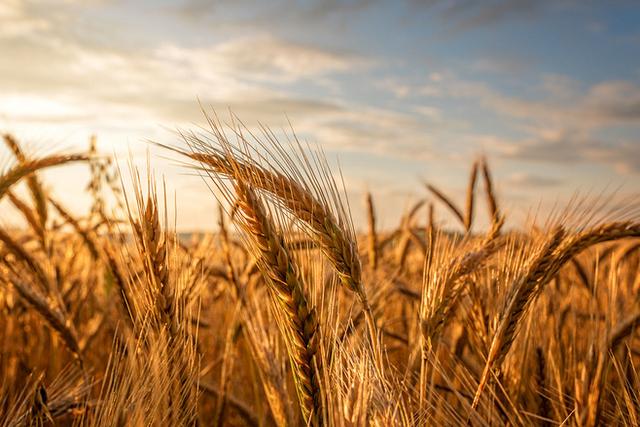 做人,要懂得這四項硬道理