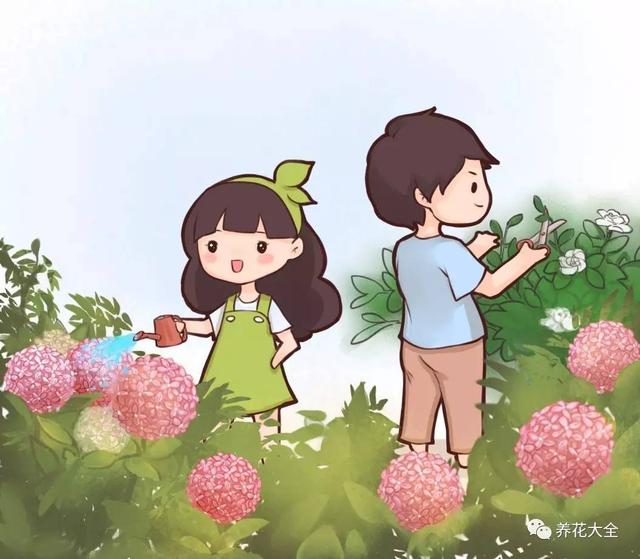 如果我有一個小院子，一定要種上這些花，天天都有花賞！