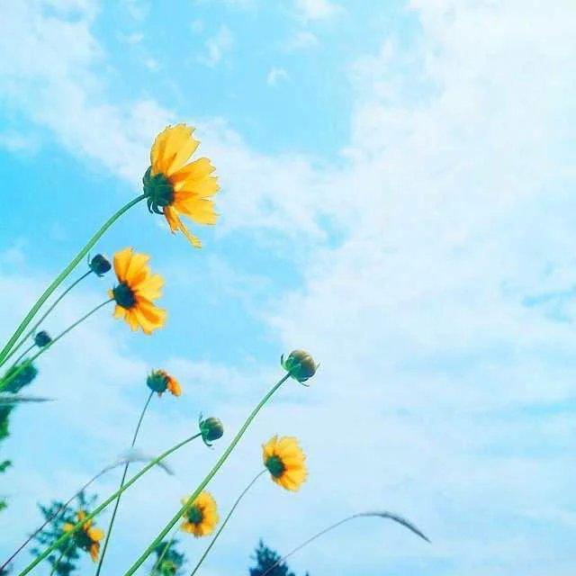 不是每個人,都適合和你白頭到老