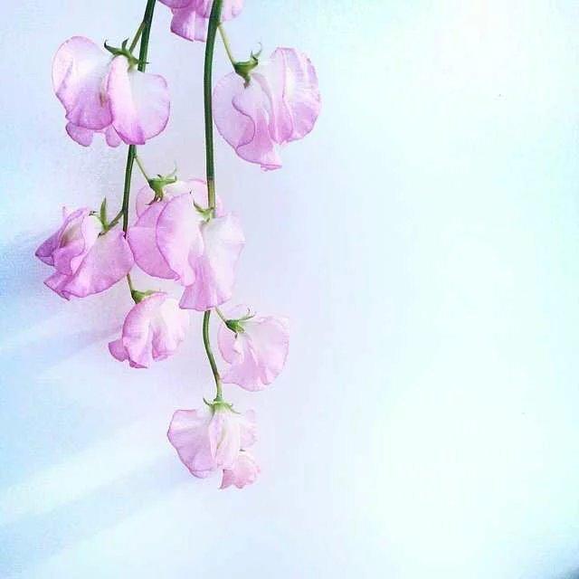 不是每個人,都適合和你白頭到老