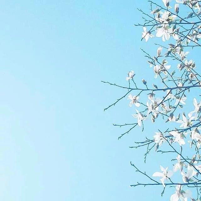 不是每個人,都適合和你白頭到老