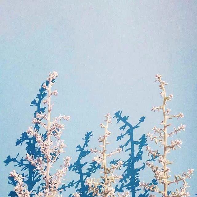 不是每個人,都適合和你白頭到老