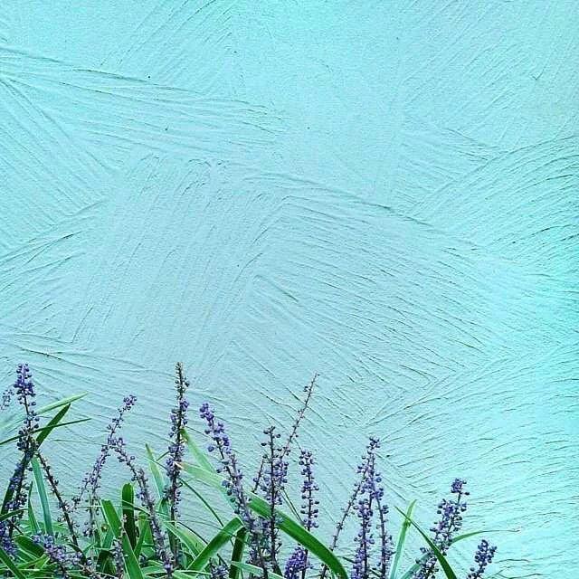 不是每個人,都適合和你白頭到老