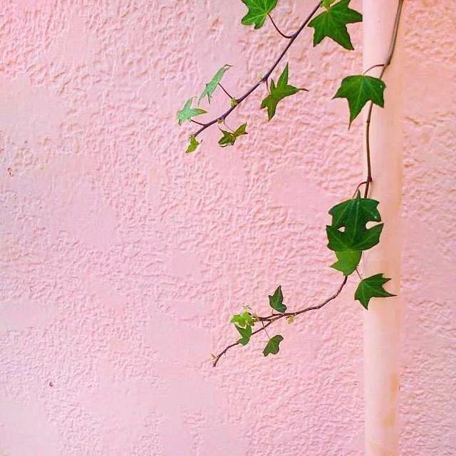 不是每個人,都適合和你白頭到老