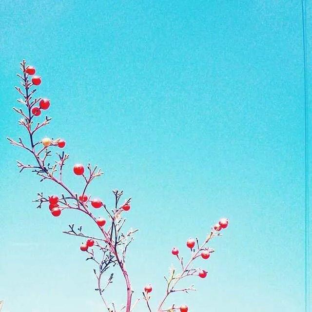 不是每個人,都適合和你白頭到老