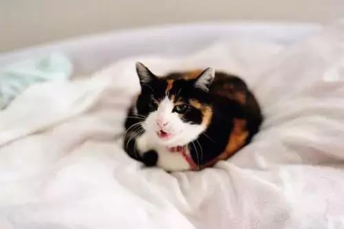 調整心態，積極面對人生！