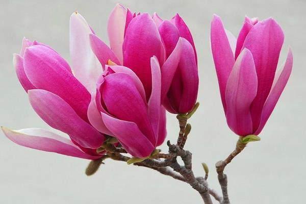 十個現實句子：心若計較，時時都有怨言；心若寬容，處處都是晴天