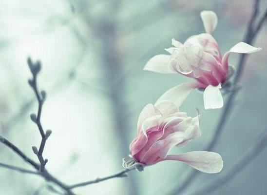 十個現實句子：心若計較，時時都有怨言；心若寬容，處處都是晴天