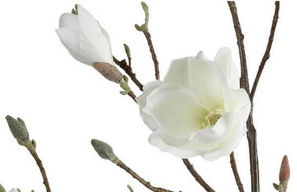 十個現實句子：心若計較，時時都有怨言；心若寬容，處處都是晴天