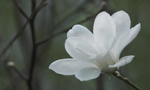 心存善念是一個人最好的修行