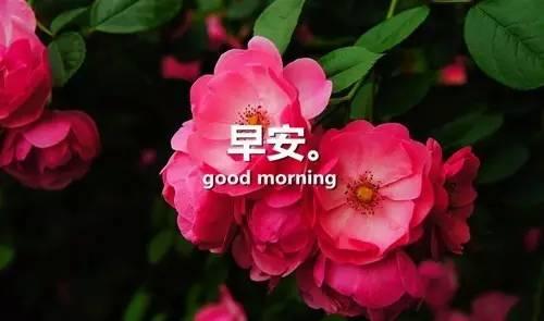 感悟人生早安心語感悟人生的經典句子