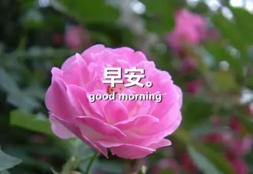 感悟人生早安心語感悟人生的經典句子