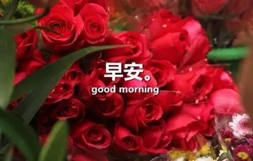 感悟人生早安心語感悟人生的經典句子