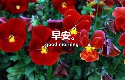 感悟人生早安心語感悟人生的經典句子