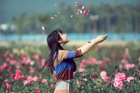 溫情語錄值的收藏