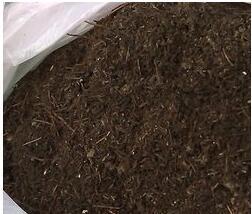 養蘭沒有土? 花友們還在花錢買嗎? 一招教會你,保證爆盆