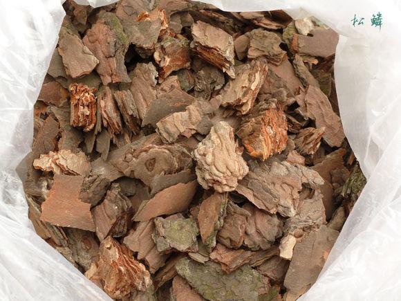 養蘭沒有土? 花友們還在花錢買嗎? 一招教會你,保證爆盆