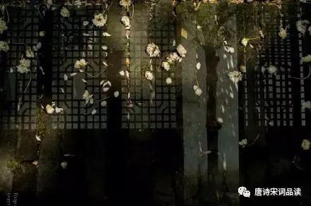 纏綿悠悠的思春詩詞,春風十里不如你!