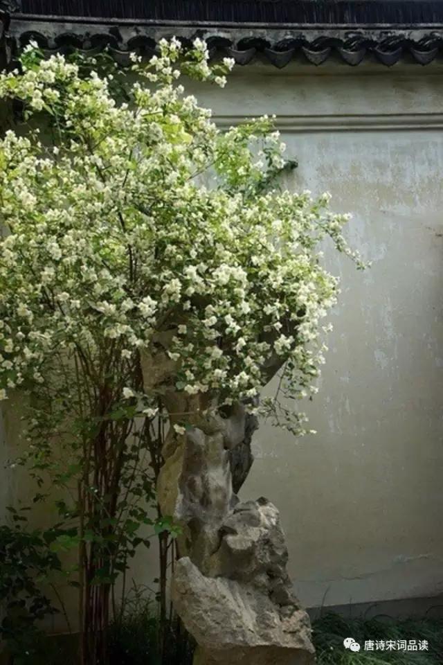 纏綿悠悠的思春詩詞,春風十里不如你!