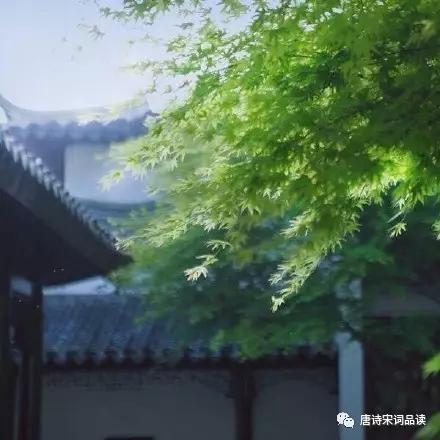 仰天長嘯,壯懷激烈,千古名將岳飛的家國悲鳴!