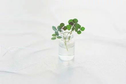 很喜歡這句話：知人不必言盡，言盡則無友