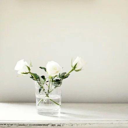 很喜歡這句話：知人不必言盡，言盡則無友