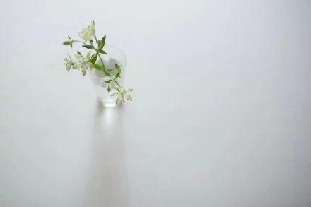 很喜歡這句話：知人不必言盡，言盡則無友