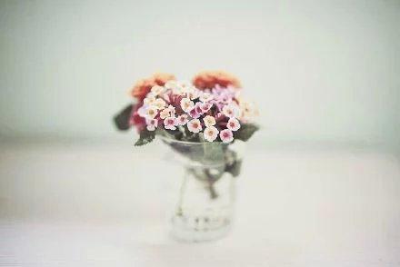 很喜歡這句話：知人不必言盡，言盡則無友