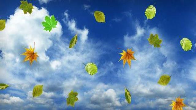 沒有平靜的生活,只有平靜的心,感悟