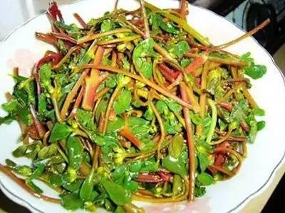 春天來了! 一種野菜治一種病,為了家人,趕緊收藏!