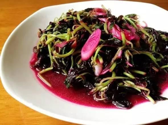 春天來了! 一種野菜治一種病,為了家人,趕緊收藏!