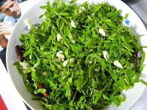 春天來了! 一種野菜治一種病,為了家人,趕緊收藏!
