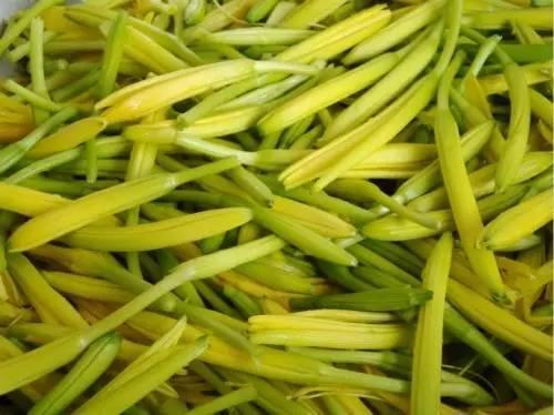 春天來了! 一種野菜治一種病,為了家人,趕緊收藏!