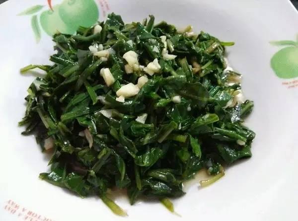 春天來了! 一種野菜治一種病,為了家人,趕緊收藏!