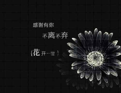 學會定時清理記憶垃圾，快樂生活