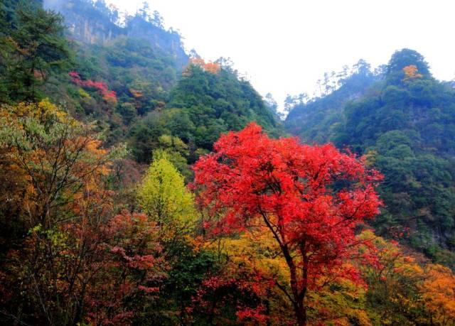 四川最值得去的20個地方,九寨溝僅排第5! 你去過哪幾個?