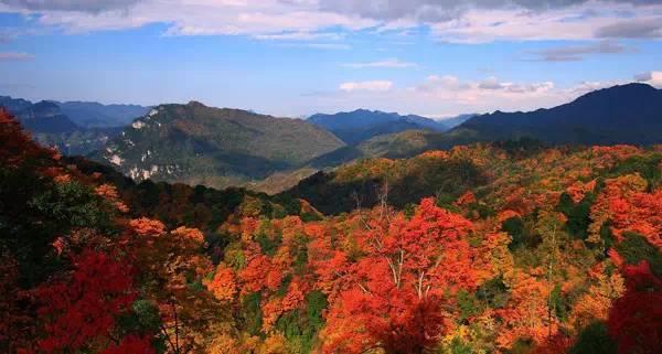 四川最值得去的20個地方,九寨溝僅排第5! 你去過哪幾個?