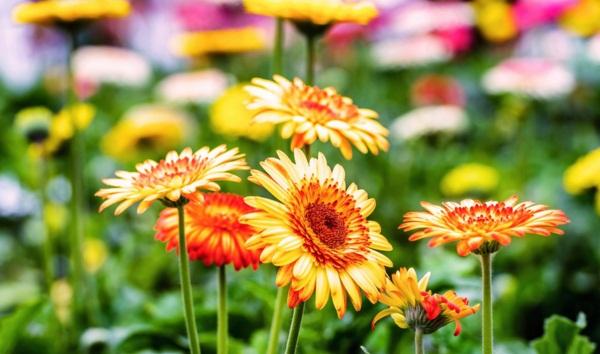 發朋友圈正能量激勵人的句子